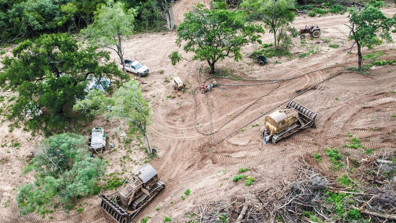 مساحات شاسعة تمت إزالتها من غابات الأمازون من أجل زراعة الصويا.  غيتي