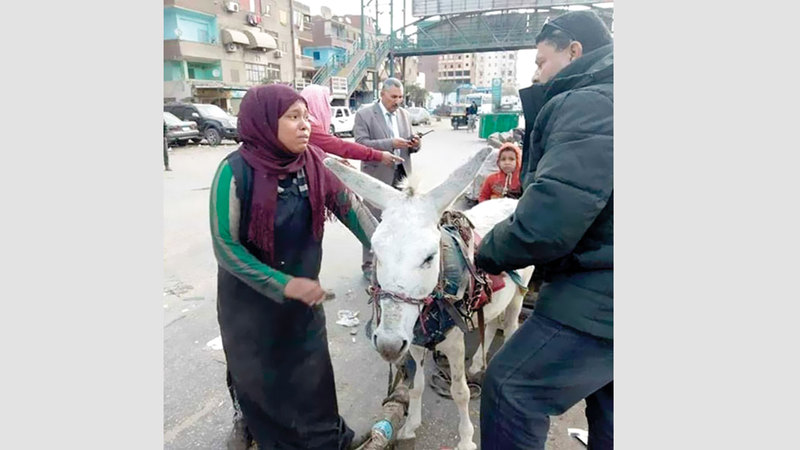 «سيدة الكارو» تعيل أسرة مكوّنة  من أفراد عدة وتستأجر العربة المصادرة. ■ من المصدر