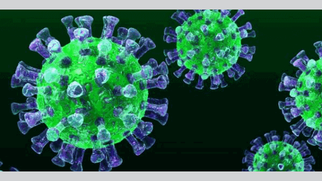 هل يختفي فيروس كورونا بارتفاع درجات الحرارة والرطوبة؟ - أخبار الموقع - متابعات - الإمارات اليوم