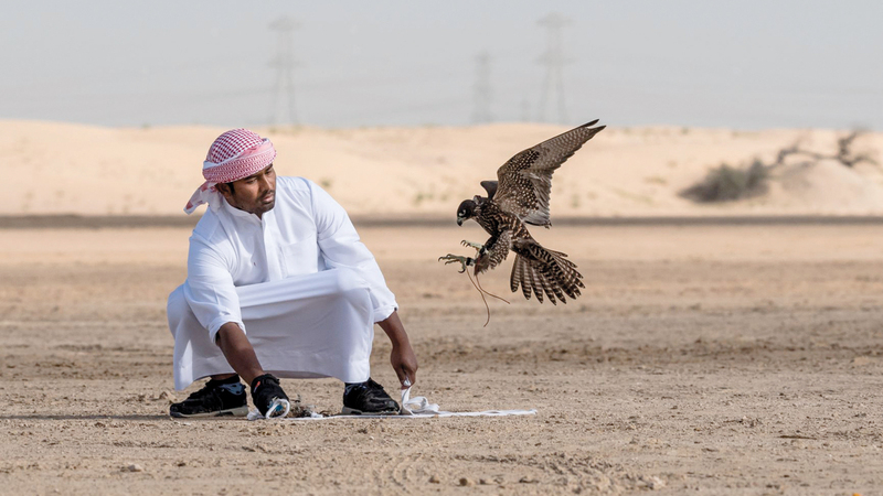 خلال منافسات فئة الشيوخ في البطولة. من المصدر