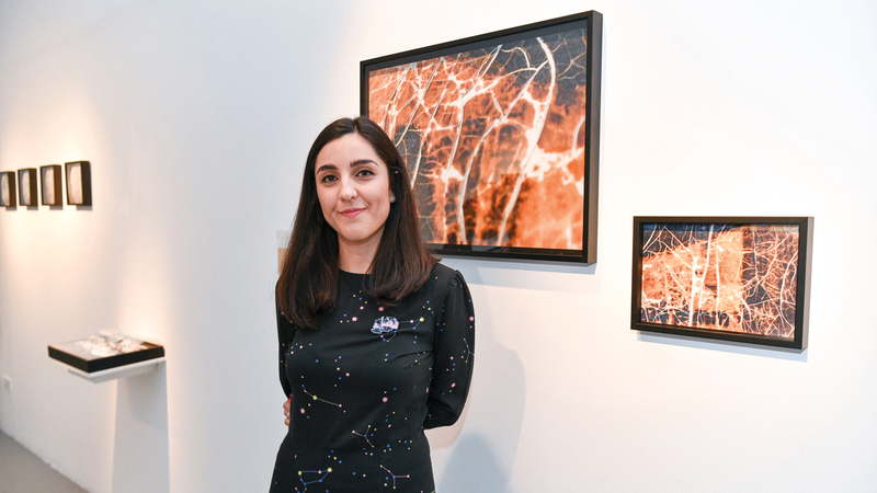 سيلفيا هرناندو ألفاريث:

&laquo;التحضير للمعرض استغرق ما يقارب العام من العمل المتواصل، ضمن برنامج ممارسة نقدية مع مركز تشكيل&raquo;.