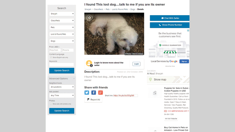 مواقع ترويجية تتضمن إعلانات عن حيوانات مفقودة. الإمارات اليوم