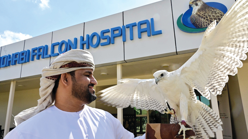 مستشفى أبوظبي للصقور الأكبر من نوعه في العالم. ■أ.ف.ب