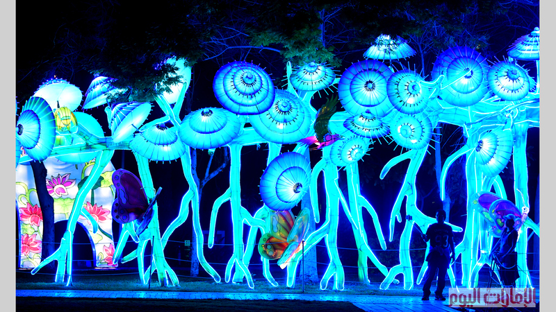 تصوير باتريك كاستيلو  .