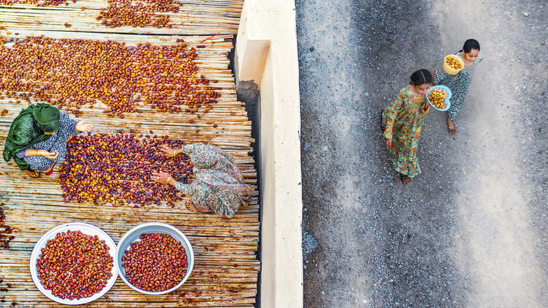 صورة نمارق التي حصدت المركز الأول.