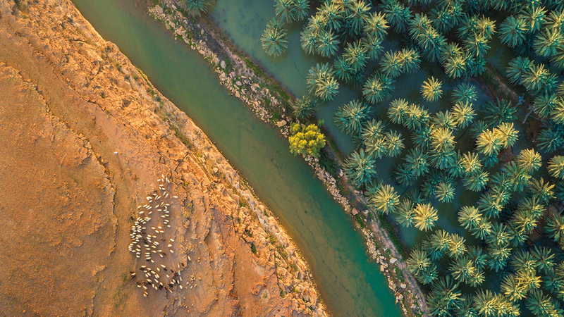 عبدالرحمن البريح حاز المركز الثاني.