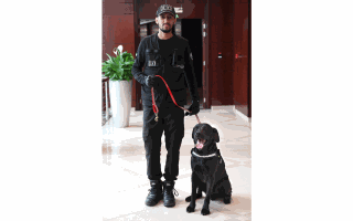 بالفيديو والصور.. "بيول 2" كلب بوليسي ساهم في ضبط مخدرات بـ 1.80 مليار درهم في دبي
