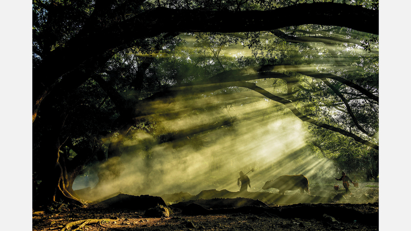 ميينغ تسوي - الصين