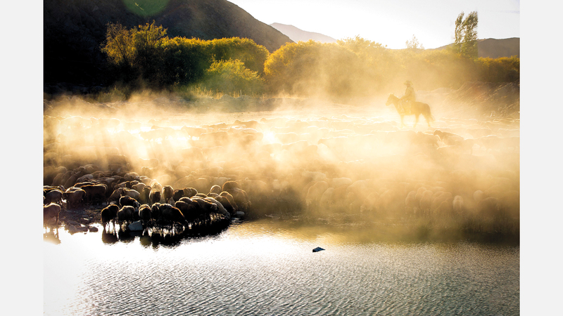 لي تشوانغ - الصين