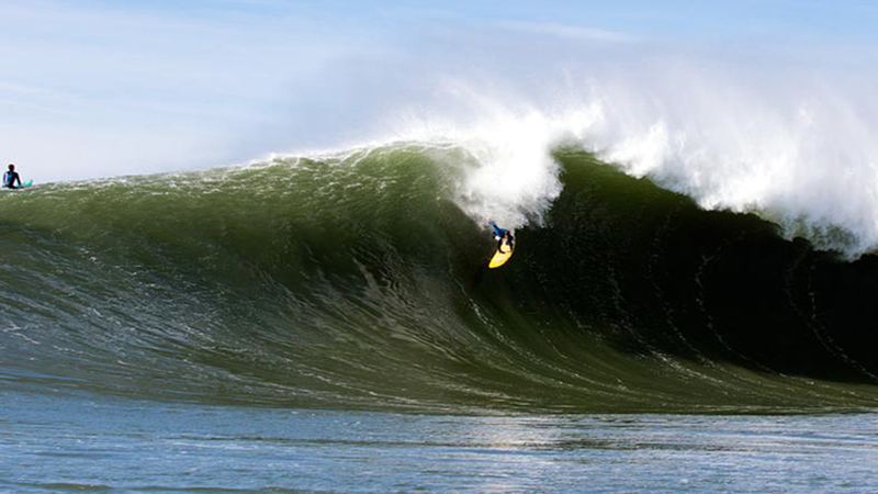 كوجي سوزوكي (64 عاماً). = أ.ف.ب