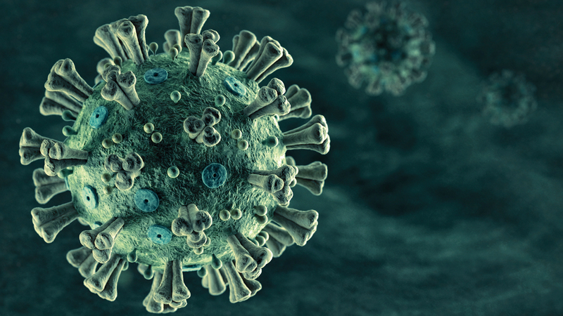 الأدلة تشير إلى قدرة أصحاب الأجهزة المناعية القوية على تخطي هذه الجائحة العالمية. ■من المصدر