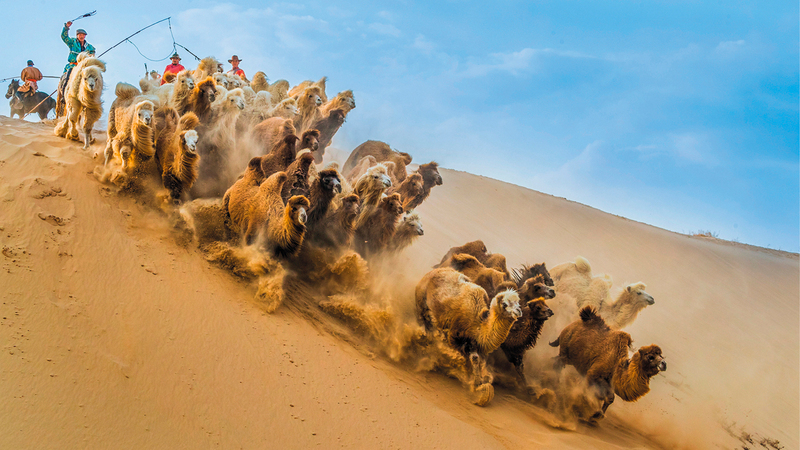 تشين زاي لو - الصين