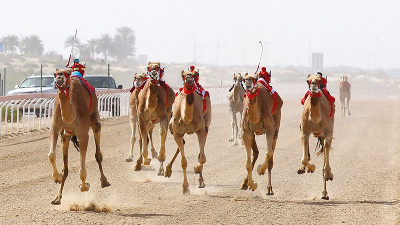 جانب من السباق.من المصدر
