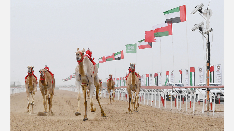 جانب من المنافسات. تصوير: إريك أرازاس