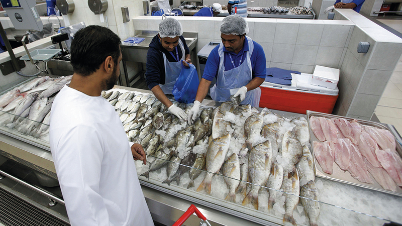 زيادات أسعار بعض أصناف الأسماك مؤقتة. تصوير: أشوك فيرما