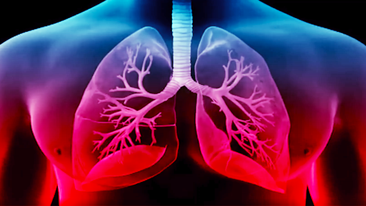 بالفيديو.. كيف نفرق بين أمراض الجهاز التنفسي في زمن الـ"كورونا