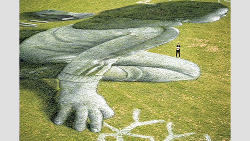 سايب يشتهر بأعماله الفنية على الأرض العشبية.  إي.بي.إيه