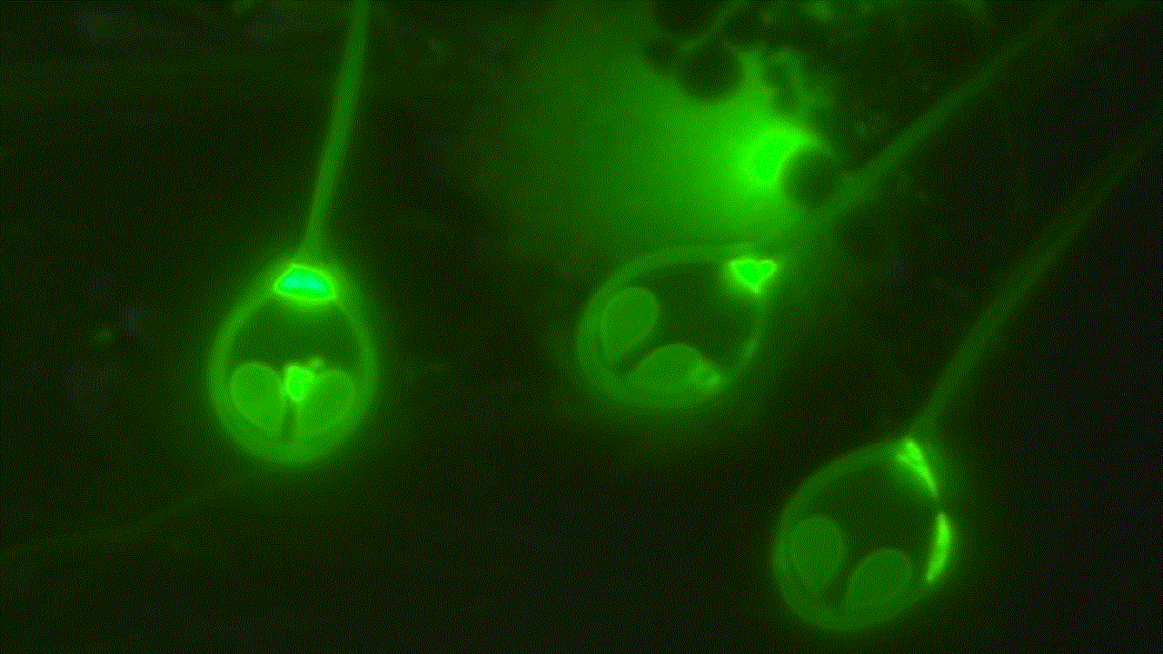 ученые создали существо