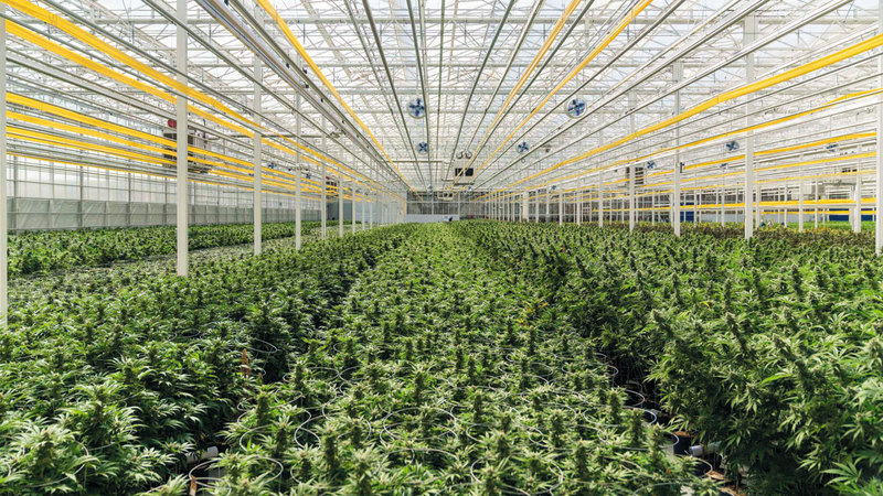 مدخلات الإنتاج، كالبذور والأسمدة، من أكبر التحديات التي تواجه المزارعينأرشيفية