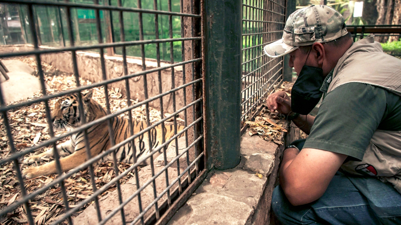 «كيرا» في الحديقة بعدما لم يعد بإمكان مالكها إطعامها.     أ.ف.ب
