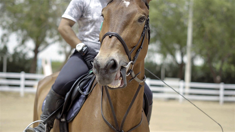 «المبادرة» لتعزيز حب الفن السابع في الأجيال الناشئة.  من المصدر