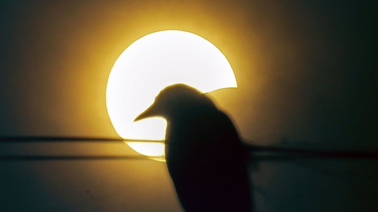 مومباي - الهند