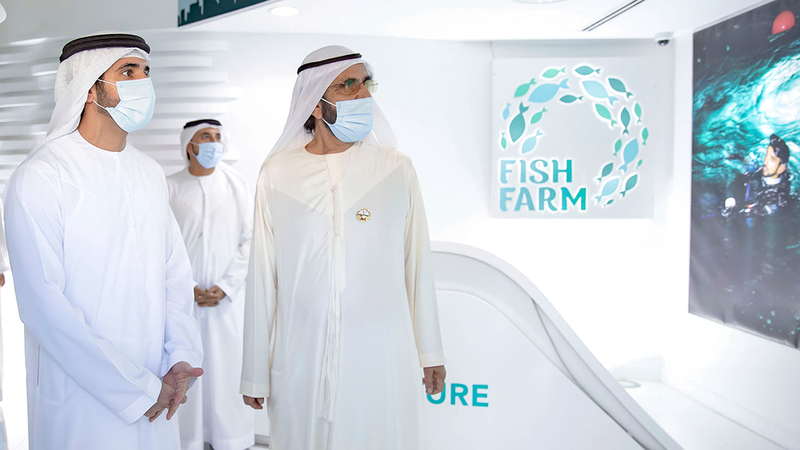 محمد بن راشد وحمدان بن محمد يطلعان على نظام العمل في المزرعة. من المصدر