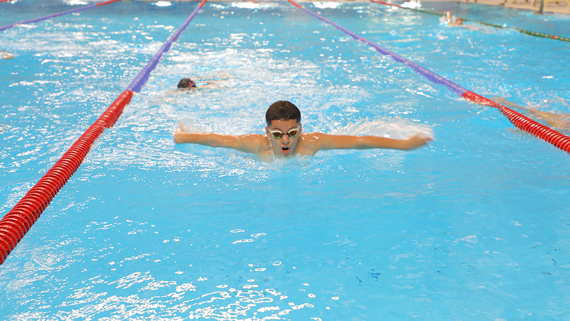 جانب من تدريبات السبّاحين بمجمع حمدان في دبي.  من المصدر