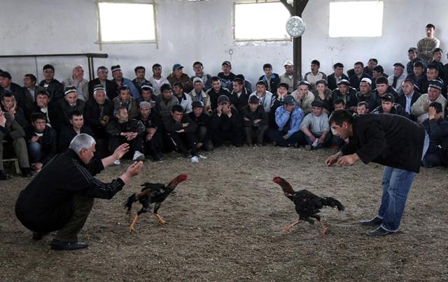 تعليمات وخطط حربية من القادة  للمقاتلين الضعفاء -رويترز