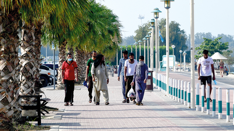 تصوير: باتريك كاستيلو