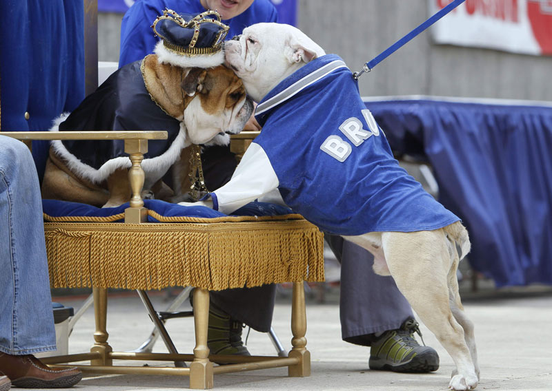 لعلي أحصل على بعض الرضا من ملك الجمال. أ ب