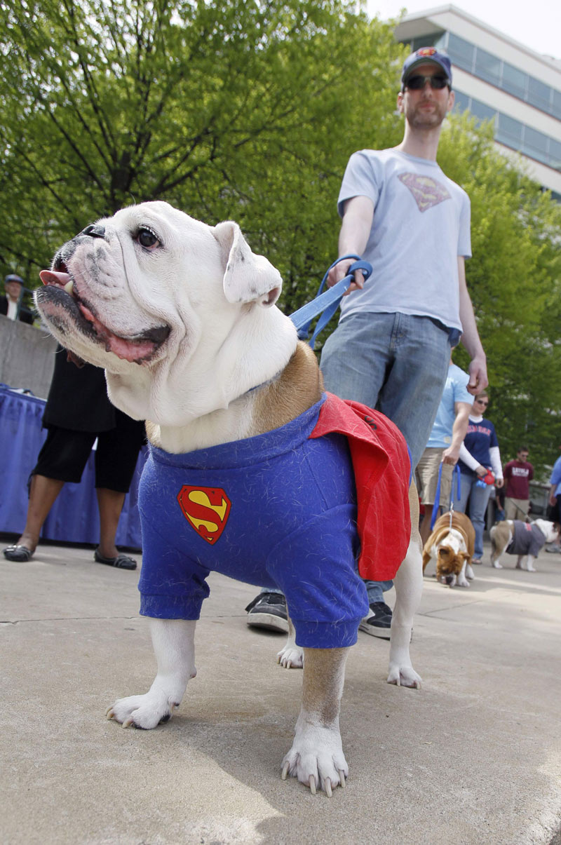 للقوة حضور أيضا. أ ب