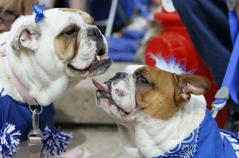 هل تقبلين دعوتي للعشاء الليلة؟ أ ب