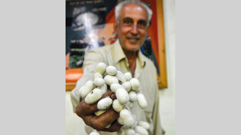 محمد سعود:

«لا يوجد في سورية إلا ثلاث عائلات تمتهن صنعة نسج الحرير يدوياً، واليوم أقاتلُ وحيداً في بلدتي من أجل إبقائها على قيد الحياة».