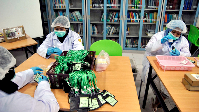 القلادة التي روّجت لها وزارة الزراعة.  غيتي