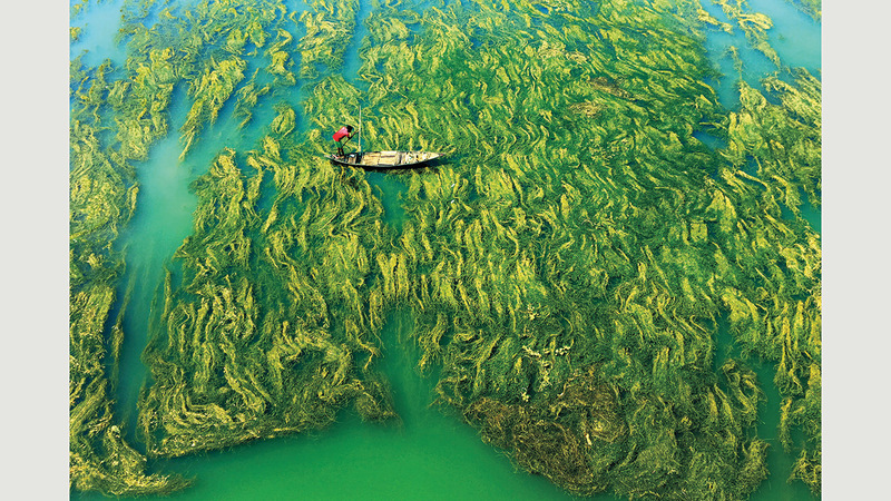 أبراتيم بال - الهند