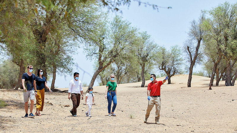رحلة السفاري الصباحية تتضمن جولة مشياً على الأقدام.  من المصدر
