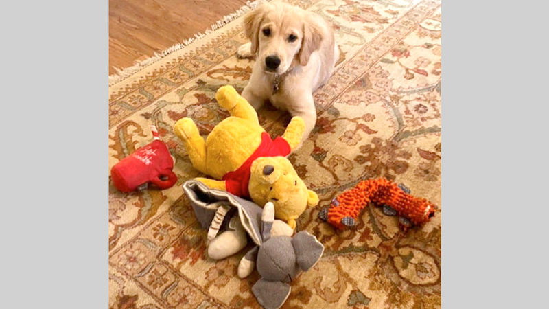 الصورة التي نشرها بومبيو على موقعه وأثارت المشكلة. ■ من المصدر