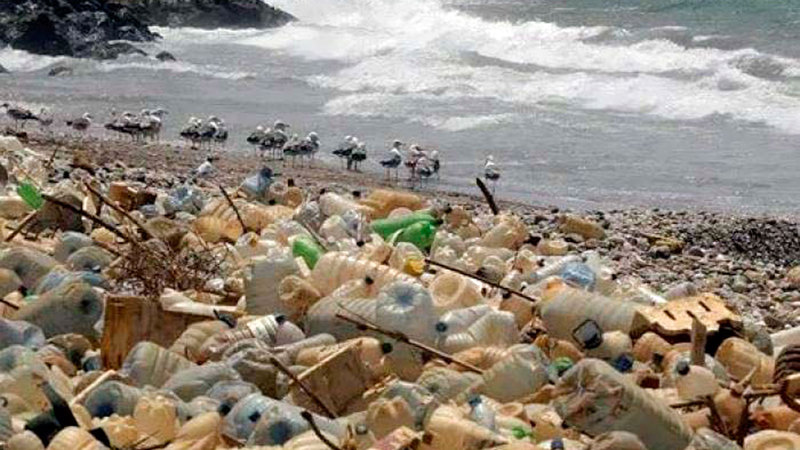 استهلاك البلاستيك أحادي الاستخدام زاد خلال جائحة فيروس كورونا المستجد. ■ أرشيفية