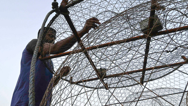 العمال الآسيويون ثمّنوا مبادرة الصيادين المواطنين. من المصدر