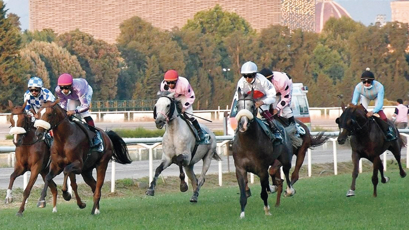 جانب من السباق.   من المصدر