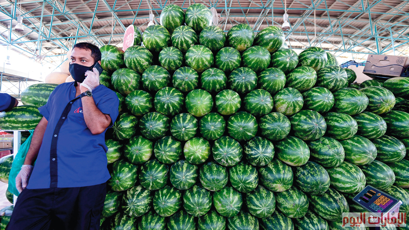 تصوير باتريك كاتسيلو