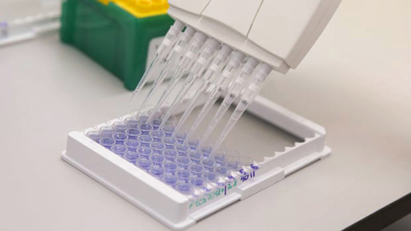 أعلنت روسيا أنها ستكون الدولة الأولى التي تتوصل إلى لقاح فعال ضد «كورونا». عن تاس