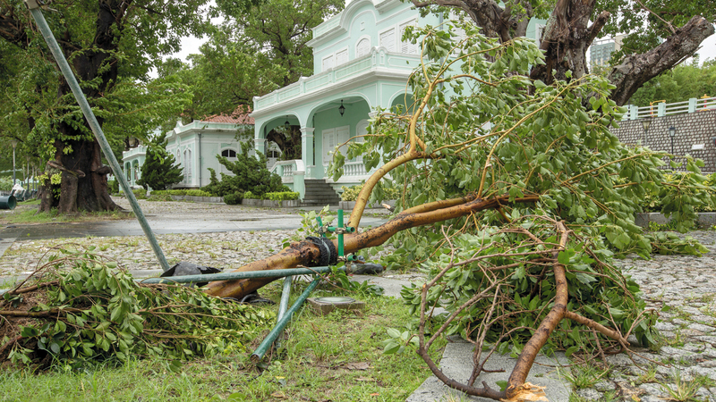 حطام وأشجار اقتلعتها العاصفة في أحد الشوارع. إي.بي.إيه