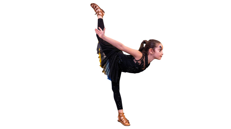 هذه الدورة تتسم بالتنوع وتغطي 15 فعالية بمجالات فنية عدة في إطار أهداف &laquo;المهرجان&raquo;. من المصدر