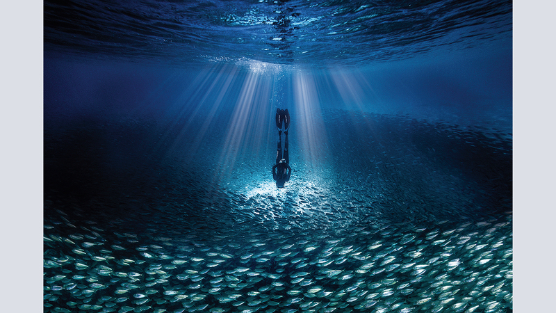 لورينزو ميتيغا - إيطاليا