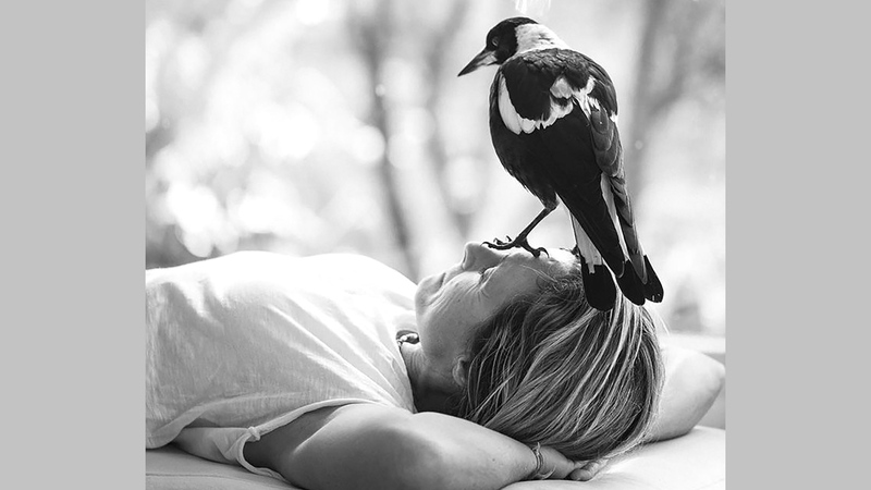 واتس: «كنت قلقة بعض الشيء بشأن كيفية جعل طيور (عقعق) تؤدي أدواراً تمثيلية». أرشيفية