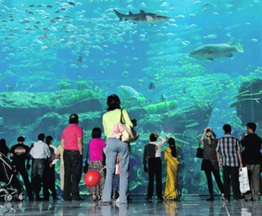 حكاية جديدة في دبي أكواريوم وحديقة الحيوانات المائية في دبي مول