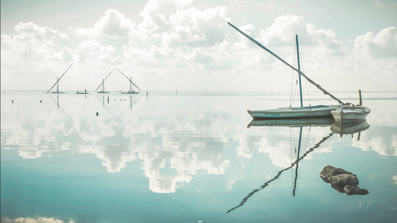 بعدسة الفوتوغرافي المصري نادر سعدالله. من المصدر