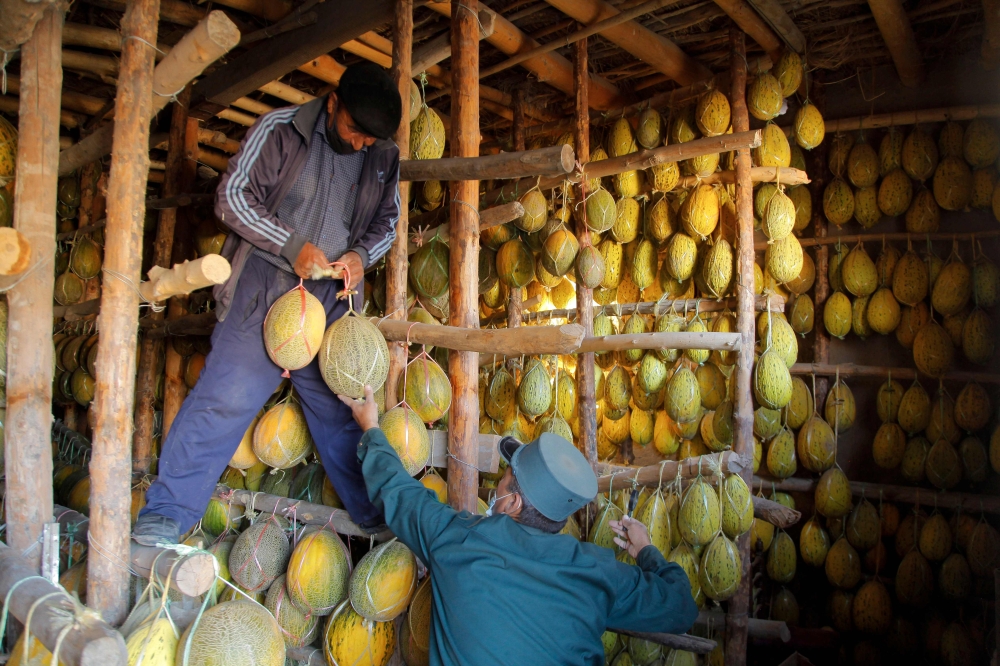 موسم الشمام جيد جداً في أوزبكستان.
أ.ف.ب